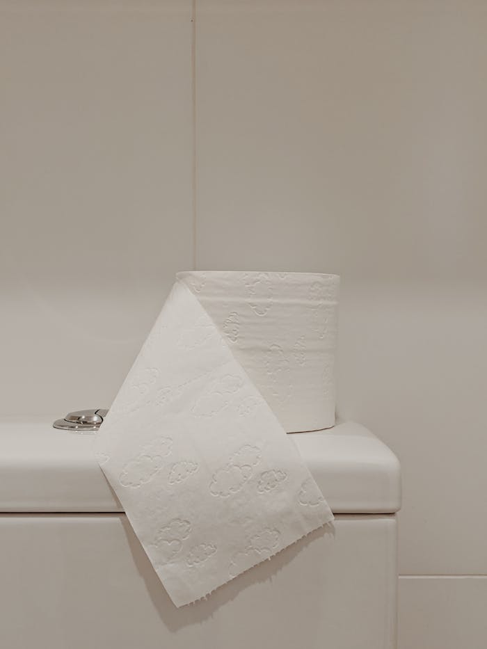 White Toilet Paper Roll on Ceramic Toilet